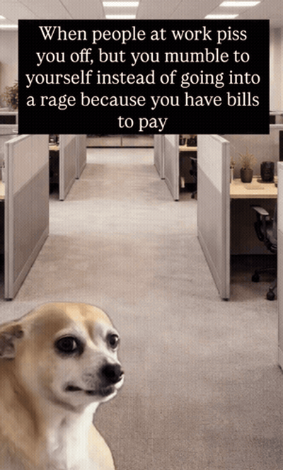 A Picture Of A Dog With A Caption That Says When People At Work Piss You Off But You Mumble To Yourself GIF