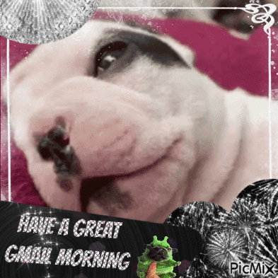 A Picture Of A Dog With A Message That Says Have A Great Gmail Morning GIF
