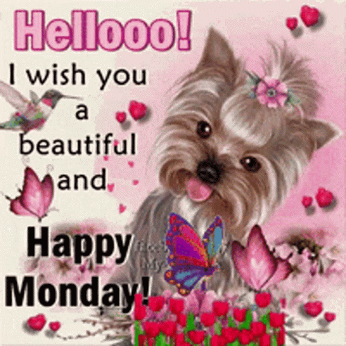 A Picture Of A Dog With Flowers And Butterflies Wishing You A Beautiful And Happy Monday GIF