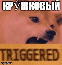 A Picture Of A Dog With Its Mouth Open And The Word Triggered Below It GIF