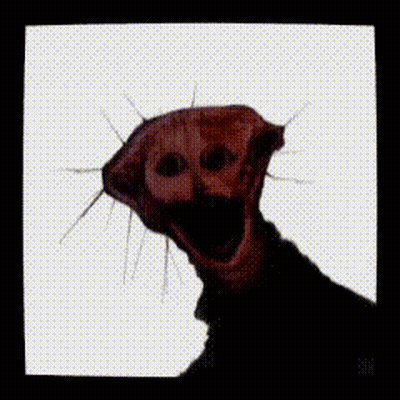 A Picture Of A Dog With Its Mouth Open And The Words 500 Cutes Hawaiia X3 Written On The Bottom GIF