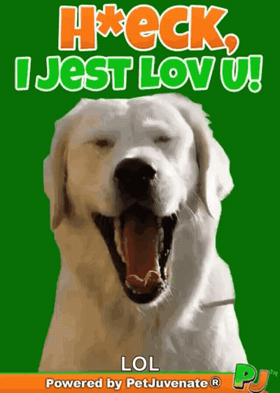 A Picture Of A Dog With Its Mouth Open And The Words H * Eck I Jest Lov U Lol GIF