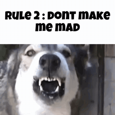 A Picture Of A Dog With Its Mouth Open And The Words Rule 2 : Dont Make Me Mad GIF