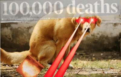 A Picture Of A Dog With Lasers Coming Out Of Its Eyes And The Words 100,000 Deaths Behind It GIF