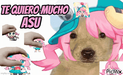 A Picture Of A Dog With Pink Hair And The Words Te Quiero Mucho Asu On The Top GIF