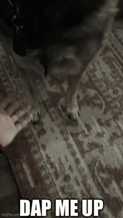 A Picture Of A Dog With The Caption " Dap Me Up " On It GIF