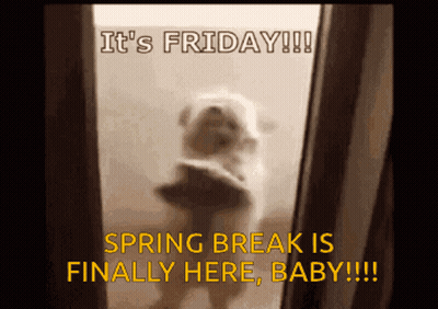 a picture of a dog with the caption it 's friday spring break is finally here baby