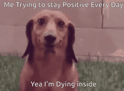 A Picture Of A Dog With The Caption " Me Trying To Stay Positive Every Day Yea I M Dying Inside " GIF
