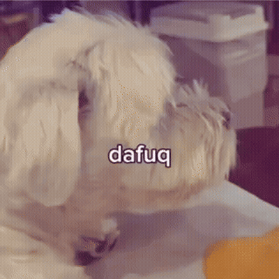 A Picture Of A Dog With The Word Dafug Written On It GIF