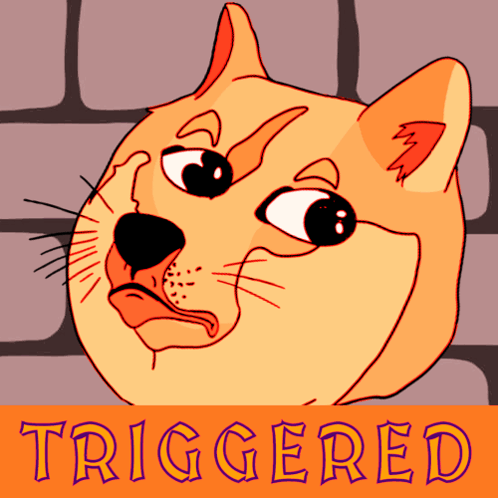 A Picture Of A Dog With The Word Triggered On It GIF