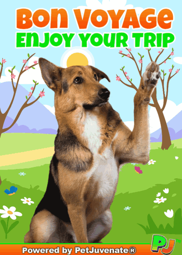 A Picture Of A Dog With The Words Bon Voyage Enjoy Your Trip Above It GIF