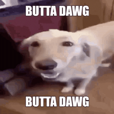 A Picture Of A Dog With The Words Butta Dawg On It GIF