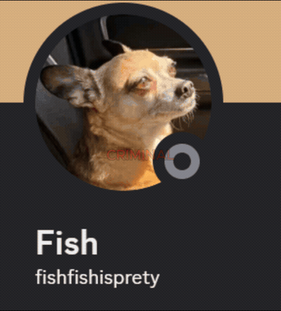 A Picture Of A Dog With The Words Criminal Fish Fishfishispretty On The Bottom GIF