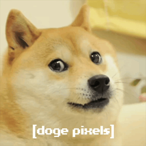A Picture Of A Dog With The Words [ Doge Pixels ] Written Below It GIF