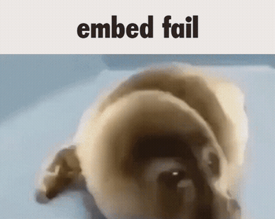 A Picture Of A Dog With The Words " Embed Fail " Below It GIF