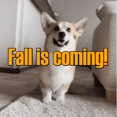 A Picture Of A Dog With The Words Fall Is Coming GIF