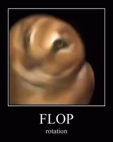 A Picture Of A Dog With The Words `` Flop Rotation '' Underneath It . GIF