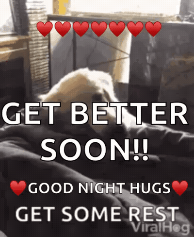 A Picture Of A Dog With The Words Get Better Soon Written On It GIF