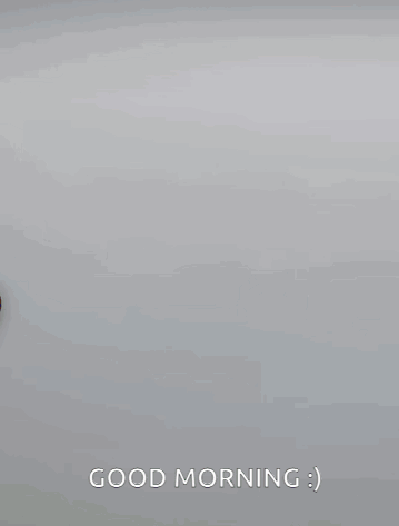A Picture Of A Dog With The Words " Good Morning " On It GIF