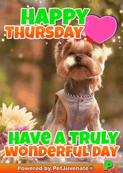 A Picture Of A Dog With The Words Happy Thursday Have A Truly Wonderful Day Below It GIF