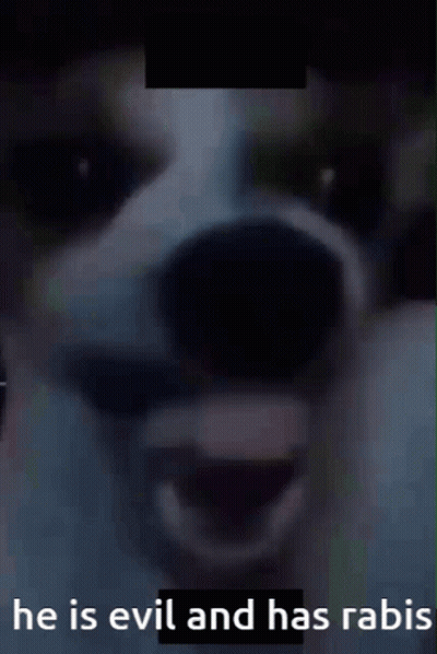 A Picture Of A Dog With The Words " He Is Evil And Has Rabis " Below It GIF