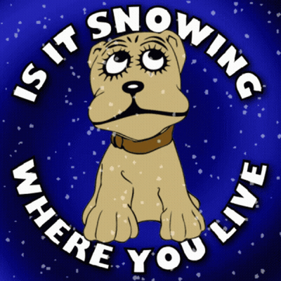 A Picture Of A Dog With The Words " Is It Snowing Where You Live " Around It GIF