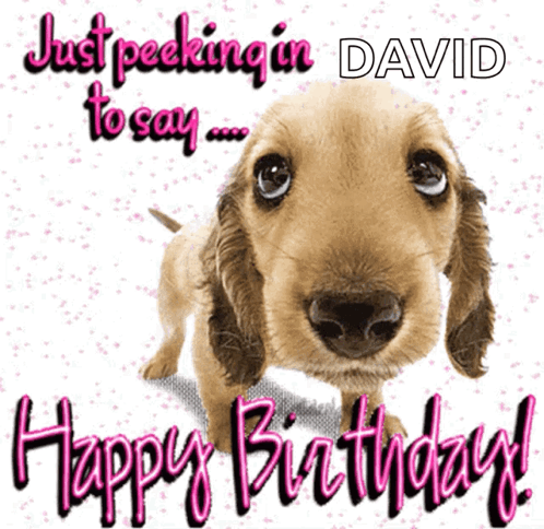 A Picture Of A Dog With The Words " Just Peeking In David To Say Happy Birthday " GIF