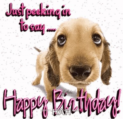 A Picture Of A Dog With The Words " Just Peeking In To Say Happy Birthday " GIF