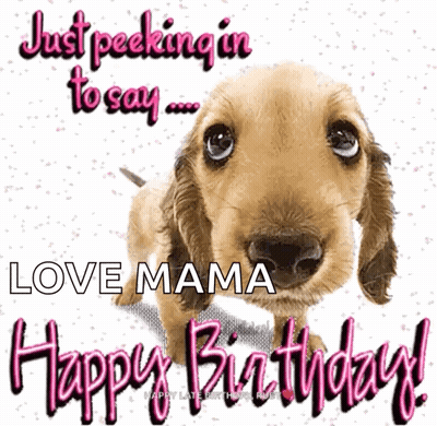 A Picture Of A Dog With The Words " Just Peeking In To Say Love Mama Happy Birthday " GIF