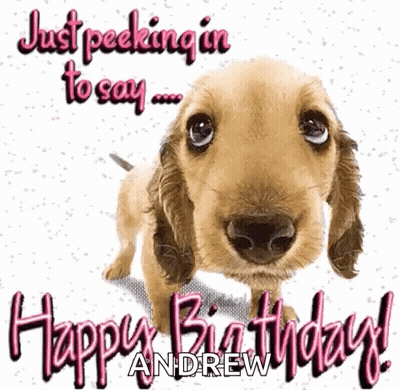 A Picture Of A Dog With The Words " Just Peeking In To Say " GIF