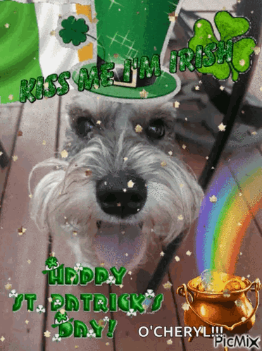 A Picture Of A Dog With The Words Kiss Me I 'M Irish Written On It GIF