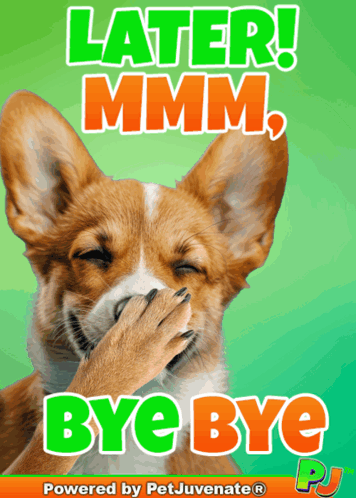 A Picture Of A Dog With The Words Later Mmmm Bye Bye Behind It GIF