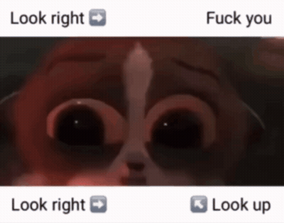 A Picture Of A Dog With The Words " Look Right " And " Fuck You " Next To It GIF