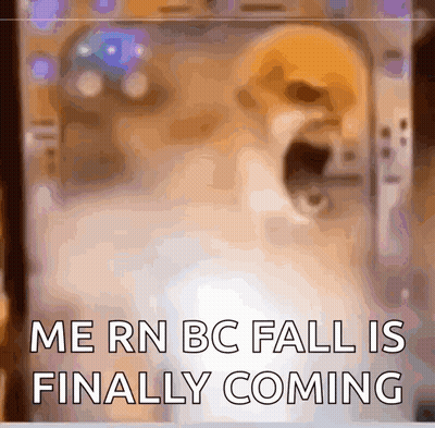 A Picture Of A Dog With The Words Me Rn Bc Fall Is Finally Coming On It GIF