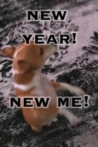 A Picture Of A Dog With The Words " New Year New Me " On It GIF