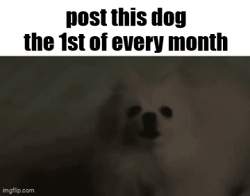 A Picture Of A Dog With The Words `` Post This Dog The 1St Of Every Month '' Written Above It . GIF