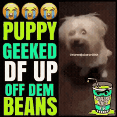A Picture Of A Dog With The Words Puppy Geeked Df Up Off Dem Beans GIF