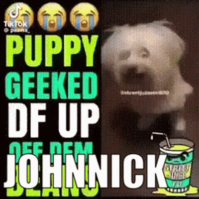 A Picture Of A Dog With The Words Puppy Geeked Df Up Off Dem Johnnick Written On It . GIF