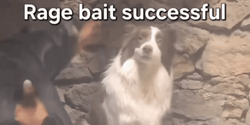 A Picture Of A Dog With The Words Rage Bait Successful GIF