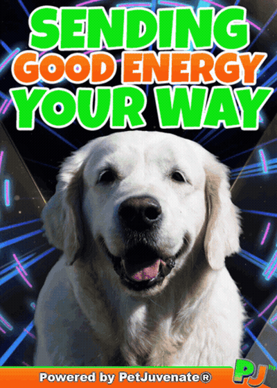 A Picture Of A Dog With The Words Sending Good Energy Your Way Above It GIF