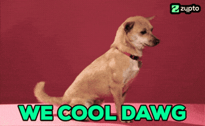 A Picture Of A Dog With The Words We Cool Dawg On It GIF