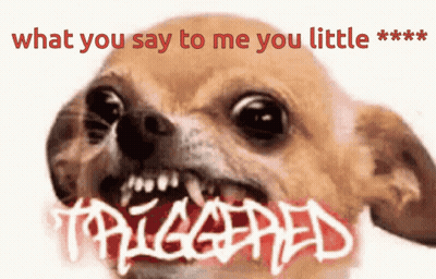 A Picture Of A Dog With The Words What You Say To Me You Little Triggered On It GIF