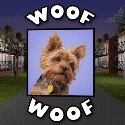 A Picture Of A Dog With The Words Woof Woof On It GIF