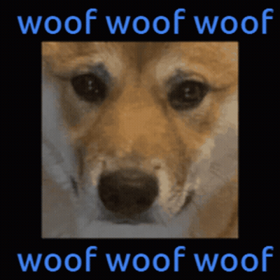 A Picture Of A Dog With The Words Woof Woof Woof Above It GIF