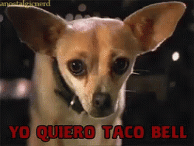 A Picture Of A Dog With Yo Quiero Taco Bell Written In Red GIF