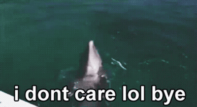 A Picture Of A Dolphin Jumping Out Of The Water With The Words I Dont Care Lol Bye Below It GIF