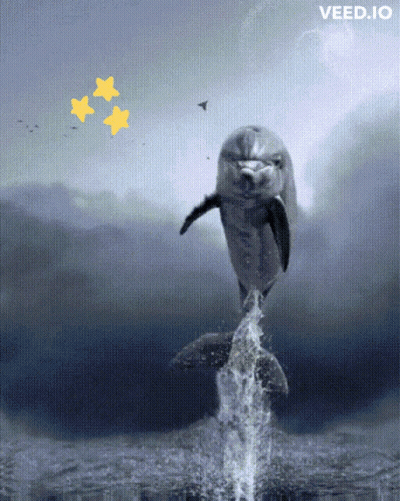 A Picture Of A Dolphin Jumping Out Of The Water With The Words Veed.io On The Bottom GIF