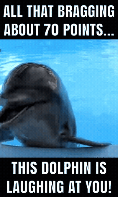 A Picture Of A Dolphin With A Caption That Says All That Bragging About 70 Points This Dolphin Is Laughing At You GIF