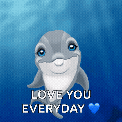 A Picture Of A Dolphin With The Words " Love You Everyday " Below It GIF