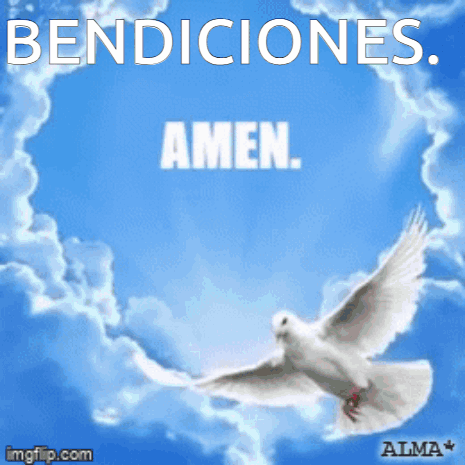 A Picture Of A Dove With The Words Bendiciones Amen GIF